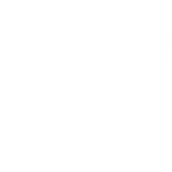 shopping cart icon